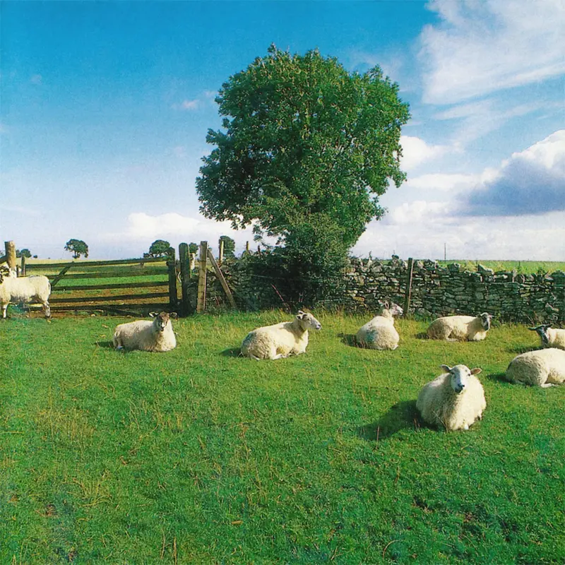 KLF — Chill Out. The story behind the first ambient house album of the rave era