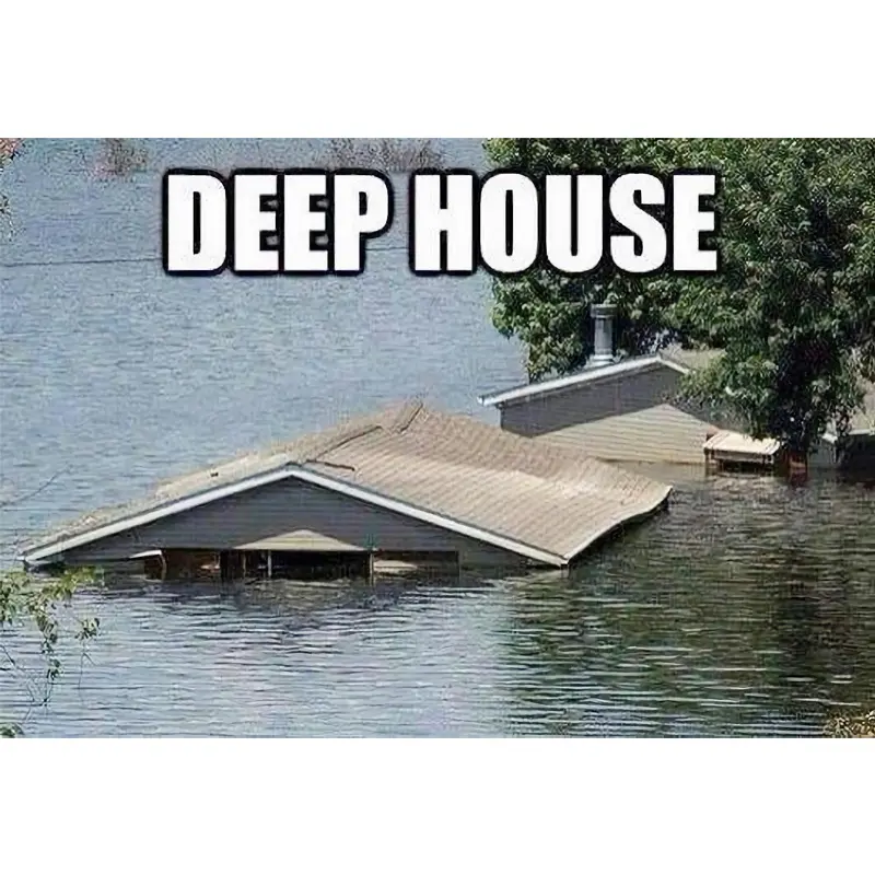 A brief Introduction to the real deep house