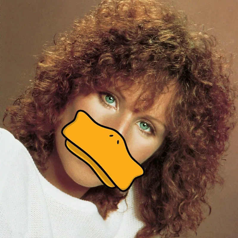 Duck Sauce — Barbra Streisand. What this track have with her