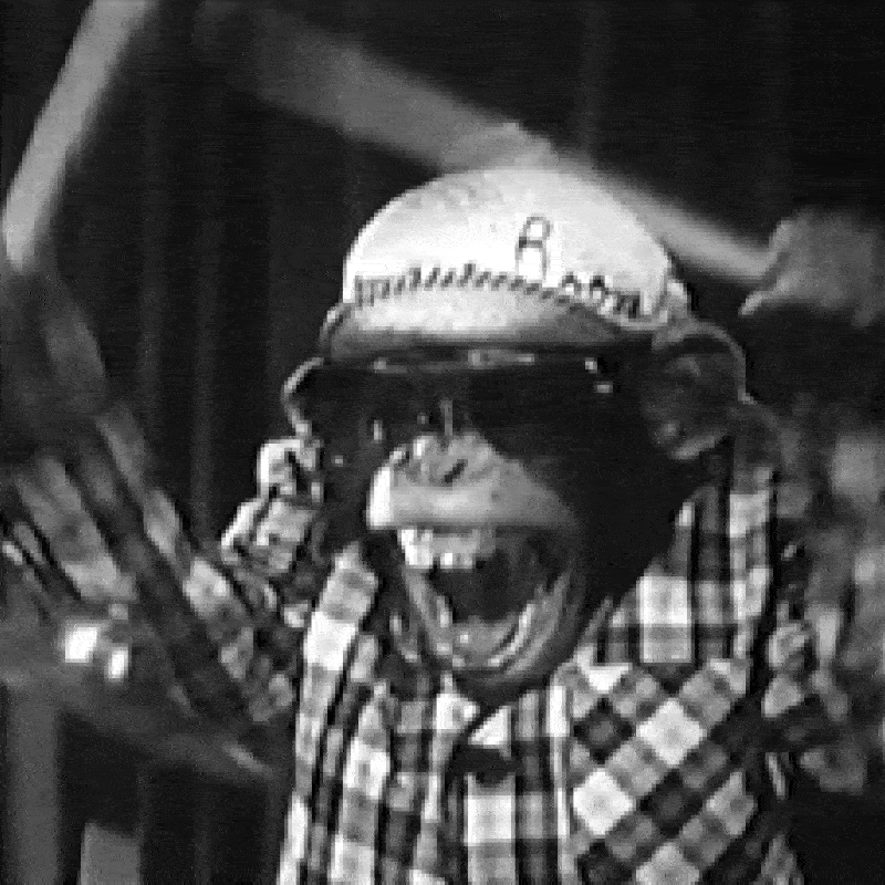 A brief history of Hardstep Jungle