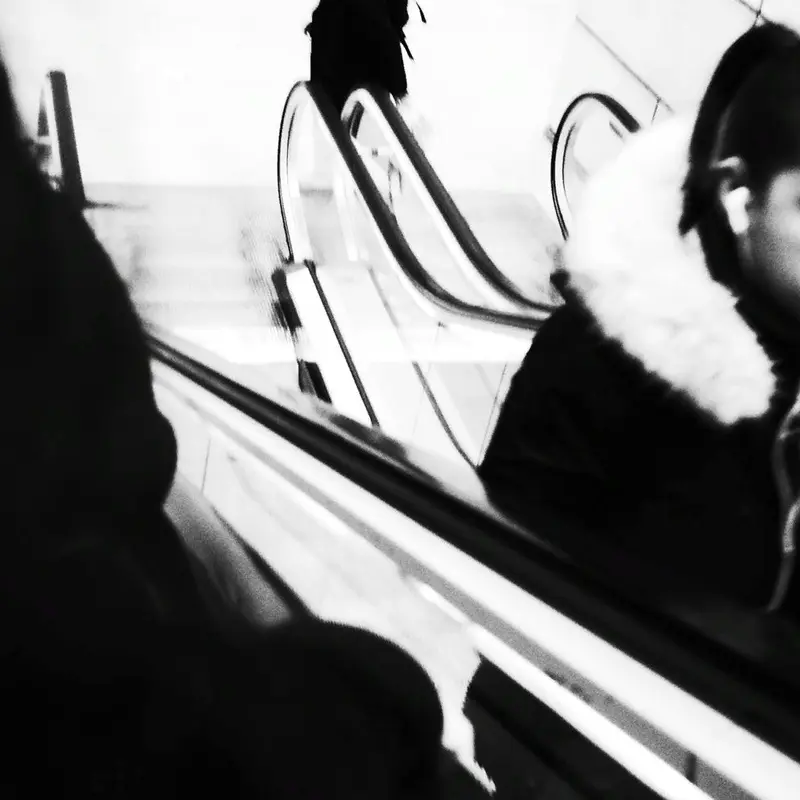 Cultrow — 12×31 showcase